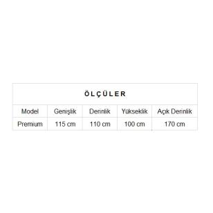 Premium Sinema Koltuğu