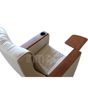 Regalia Y30 Sinema Koltuğu