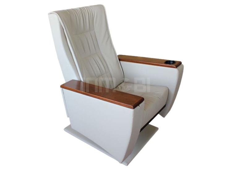 Regalia Y30 Sinema Koltuğu