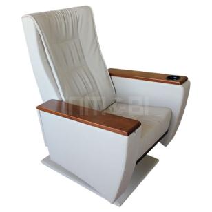 Regalia Y30 Sinema Koltuğu