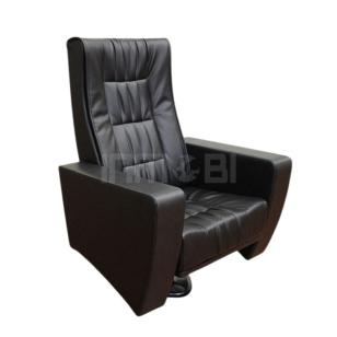 Regalia T10 Sinema Koltuğu