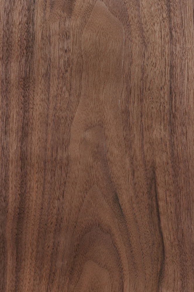 American Walnut